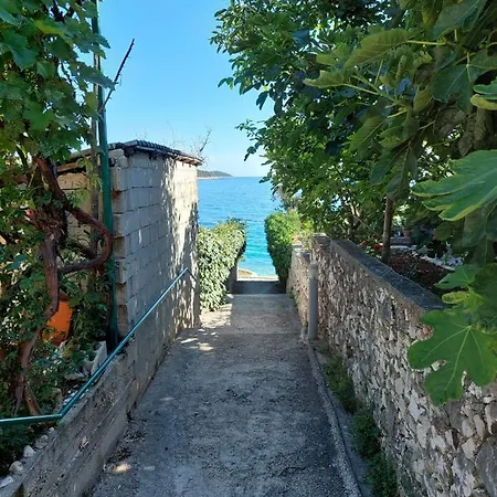 Penthouse Dream Look *