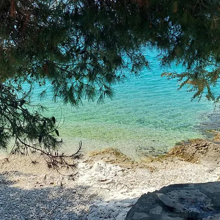 Apartment Penthouse Dream Look *