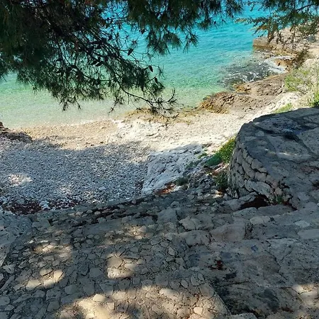 Apartment Penthouse Dream Look