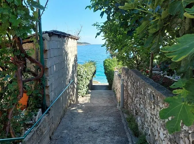 Penthouse Dream Look *