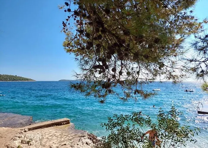 Penthouse Dream Look *