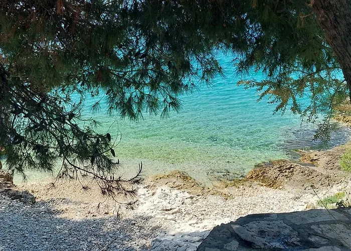 Apartamento Penthouse Dream Look *